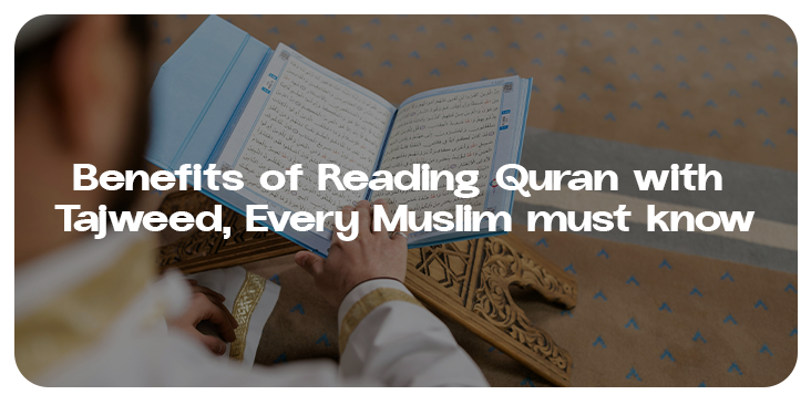 learn Quran with tajweed